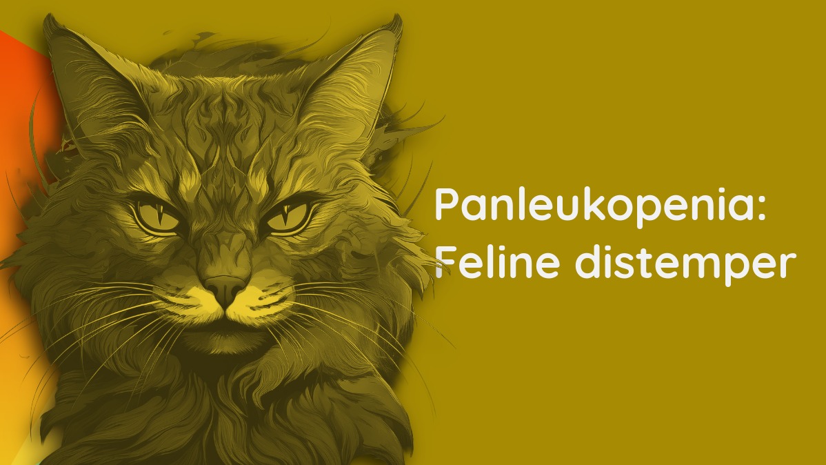 ZARAVET BLOG 02 panleukopenia feline distemper.jpeg